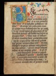 Preview Page