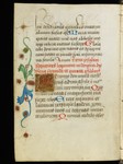 Preview Page